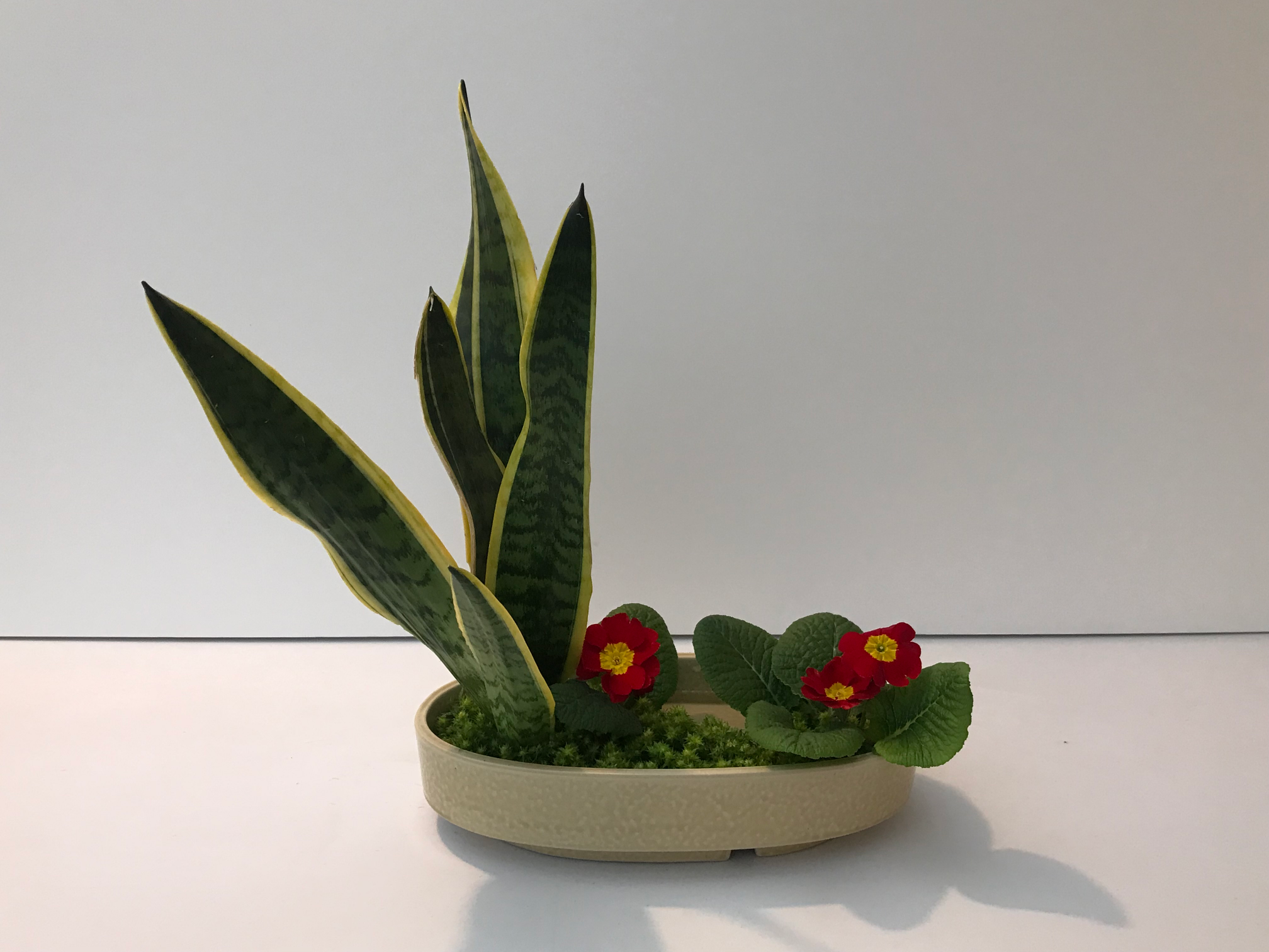 Ikebana composition shikisai moribana