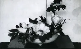 arrangement historique de Unshin Ohara